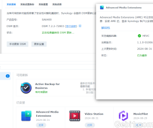 群晖DSM 7.2.2 安装旧版本AME  完美解码！！！！！！！！！！！！！！