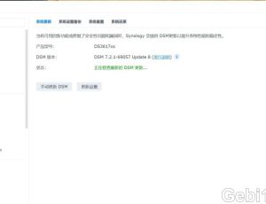 为什么DS3617xs DSM7.2.1-69057update8在安装了第11，12块硬盘后系统无法启动？
