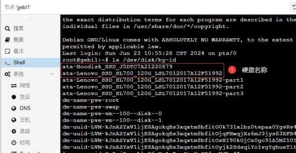 Proxmox VE 硬盘直通