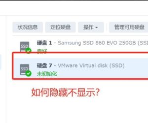 esxi 黑群晖 如何隐藏引导盘