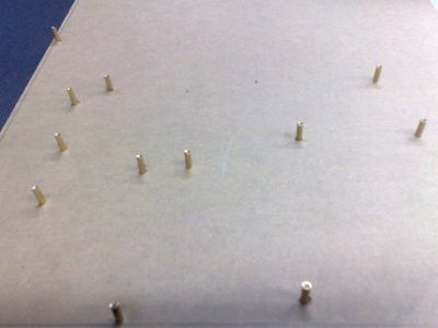 20100803271.jpg